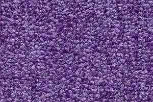 Ковролин Radici Trotter Viola 2421 фото  | FLOORDEALER